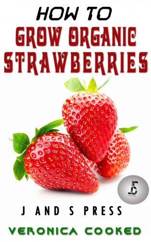 How To Grow Organic Strawberries